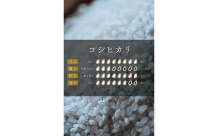コシヒカリ 5kg×2袋 計10kg 令和7年産 会津 喜多方産【07208-0272】