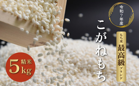 令和7年度産会津喜多方産こがねもち5kg×1袋　【07208-0351】