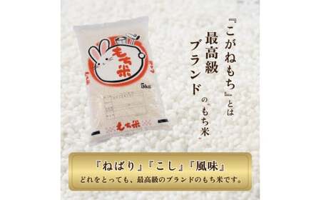 令和7年度産会津喜多方産こがねもち5kg×1袋　【07208-0351】