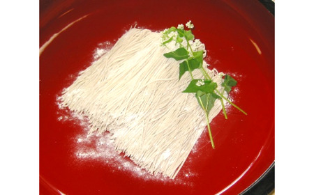 会津高郷 雷神そば 10人前（５人前×２） ギフト お土産【07208-0233】