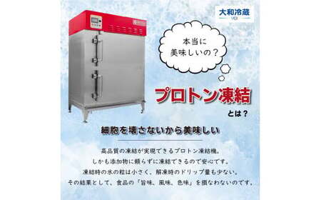 冷凍　手打ちなまそば　４食入　そばつゆ付き　【07208-0303-C】