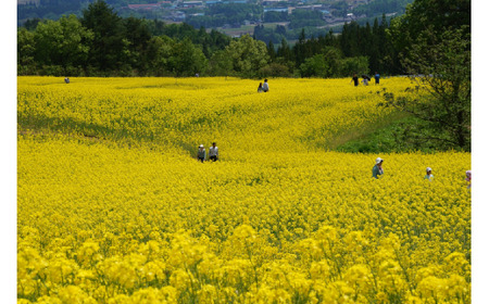 子宝の湯 熱塩温泉 利用券10000円分　【07208-0105】