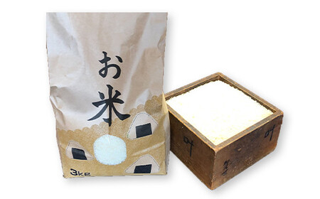 会津発　季節の野菜だより（小）定期便12回　【07208-0262】