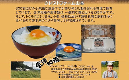 会津地鶏卵定期便（1箱20個）5ヶ月間　【07208-0171】