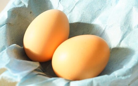 会津地鶏卵定期便（1箱20個）5ヶ月間　【07208-0171】