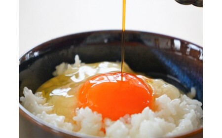 会津地鶏卵定期便（1箱20個）5ヶ月間　【07208-0171】