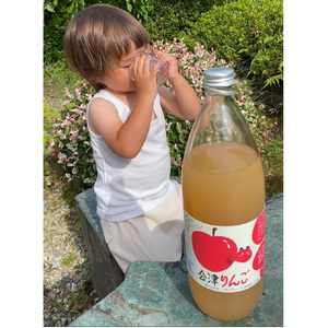 りんごジュース まるごとしぼった果汁100% 会津りんご 1,000ml 3本 セット ギフト 人気 お土産 飲み比べ グルメ【07208-0516】