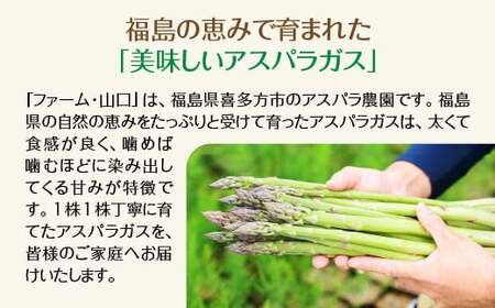 【先行予約】喜多方産　グリーンアスパラガス　1kg（L～2Lサイズ）　【07208-0629】