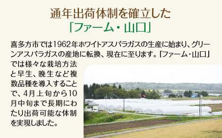 【先行予約】喜多方産　グリーンアスパラガス　1kg（L～2Lサイズ）　【07208-0629】