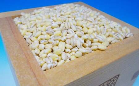 もち麦　国産　喜多方市産　700g　【07208-0637】 