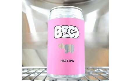 クラフトビールBECO詰め合わせセット 350ml缶 計6本 セット ギフト 人気 お土産 グルメ【07208-0651】