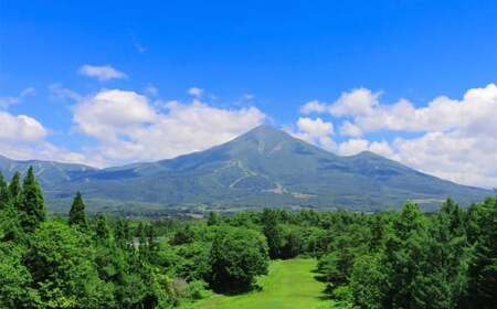 クラフトビールBECO詰め合わせセット 350ml缶 計6本 セット ギフト 人気 お土産 グルメ【07208-0651】