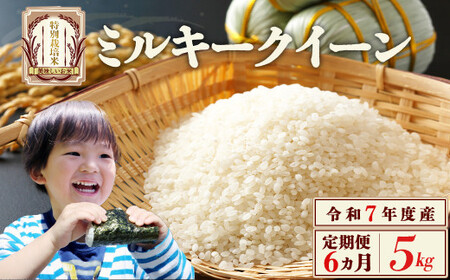 【6か月定期便】特別栽培米　ミルキークイーン　5kg　６回　合計　30kg　令和7年産　雪蔵銀ぴか米（令和7年10月14日以降発送）会津　喜多方g 　【07208-0687】