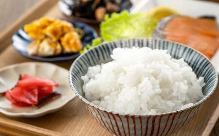 令和7年産 特別栽培米コシヒカリ 5kg×6回 計30kg 【先行予約】【6か月定期便】 雪蔵銀ぴか米 【07208-0688】