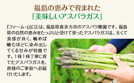 【先行予約】【訳アリ】　喜多方産　グリーンアスパラガス　1kg【07208-0716】
