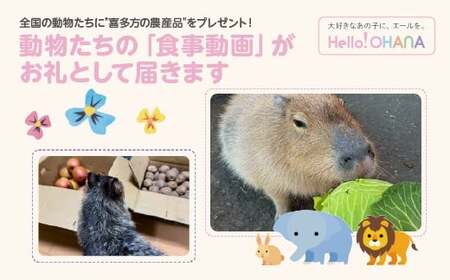 【動物推し活サービス】全国の動物たちに"喜多方の農産品"をプレゼント!動物たちの「食事動画」がお礼として届きます! 【07208-0728】