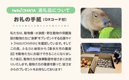 【動物推し活サービス】全国の動物たちに"喜多方の農産品"をプレゼント!動物たちの「食事動画」がお礼として届きます! 【07208-0728】