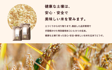 【定期便6ヶ月】菊姫米　特別栽培米コシヒカリ　玄米5kg【ADATARAふぁーむ】