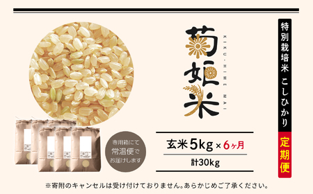 【定期便6ヶ月】菊姫米　特別栽培米コシヒカリ　玄米5kg【ADATARAふぁーむ】