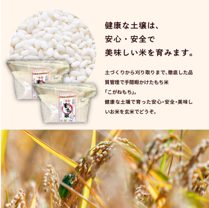 菊姫米　高級ブランドもち米こがねもち使用　もち米1kg×2袋【ADATARAふぁーむ】