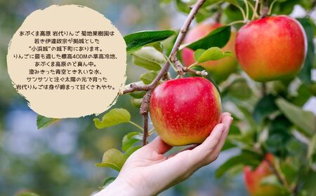 りんご農家が作る絶品冷凍りんご!「冷え冷えアップル」10個入【菊地合名会社】