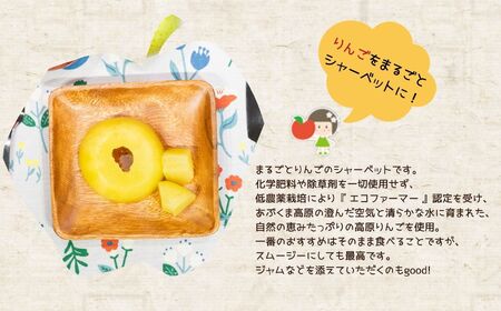 りんご農家が作る絶品冷凍りんご!「冷え冷えアップル」10個入【菊地合名会社】