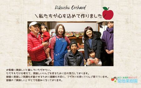 りんご農家が作る絶品冷凍りんご!「冷え冷えアップル」10個入【菊地合名会社】