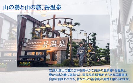 岳温泉地域クーポン券 温泉 岳温泉 旅行【一般社団法人岳温泉観光協会】