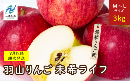 2024年10月北海道 で収穫した 松の実5kg 2024年9月北海道 で収穫した 松の実3kg