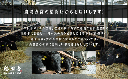 \年内発送可能!/熟成牛 切り落とし3kg(250g×12袋)|牛肉 小分け【有限会社エム牧場】