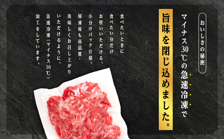 \年内発送可能!/熟成牛 切り落とし3kg(250g×12袋)|牛肉 小分け【有限会社エム牧場】