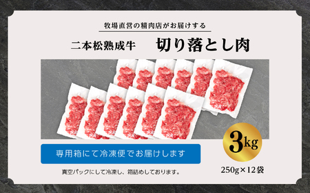\年内発送可能!/熟成牛 切り落とし3kg(250g×12袋)|牛肉 小分け【有限会社エム牧場】