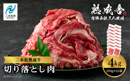 熟成牛 切り落とし4kg（250g×16袋）｜牛肉 小分け【有限会社エム牧場】