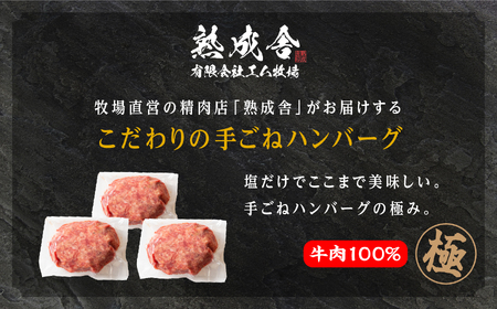 熟成牛 塩で食べる！手ごねハンバーグ 1.5kg（150g×10袋） ハンバーグ 国産 牛肉【有限会社エム牧場】