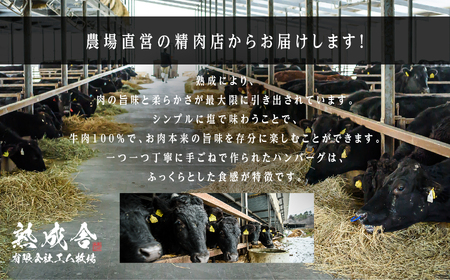 熟成牛 塩で食べる！手ごねハンバーグ 3kg（150g×20袋）ハンバーグ 国産 牛肉 【有限会社エム牧場】