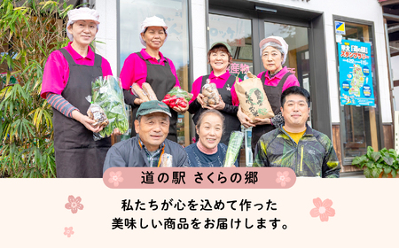 手作り切り餅（あんこときなこ付き）セット【企業組合さくらの郷】