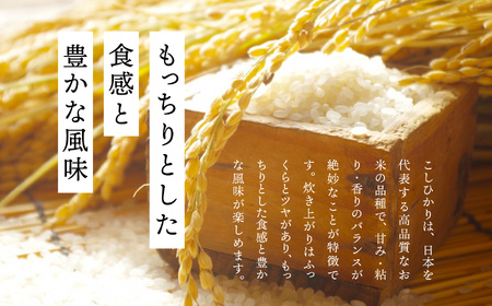 ＼年内発送可能！／米 令和7年産 こしひかり5kg【株式会社あだたら米】