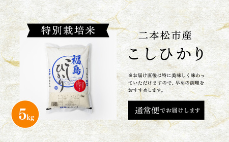 ＼年内発送可能！／米 令和7年産 こしひかり5kg【株式会社あだたら米】