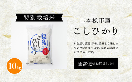 米 令和7年産 こしひかり10kg【株式会社あだたら米】