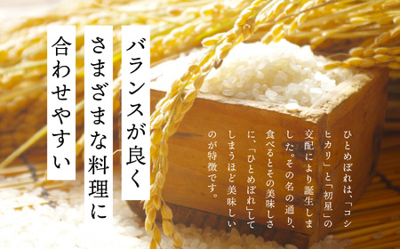 米 令和7年産 ひとめぼれ10kg【株式会社あだたら米】