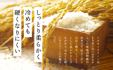 米 令和7年産 ミルキークイーン5kg【株式会社あだたら米】