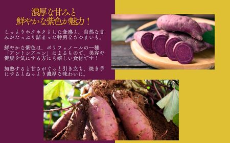 紫芋 農家直送！とろける濃密紫いも5kg【ADATARAふぁーむ】