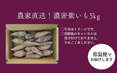 紫芋 農家直送！とろける濃密紫いも5kg【ADATARAふぁーむ】