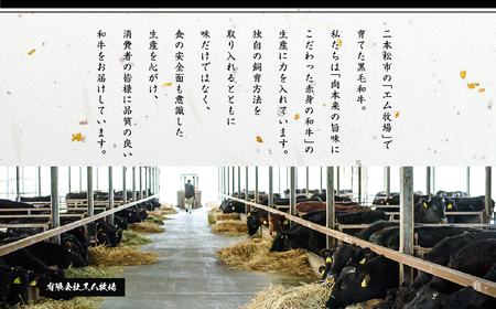  ＜先行予約 2024年6月以降お届け＞福島県二本松市産 黒毛和牛うすぎり1kg(500g×2パック)【コーシン】
