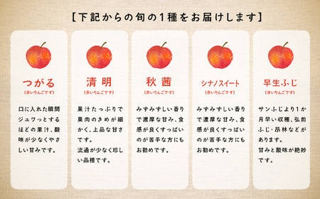 《2024年10月上旬以降発送》羽山りんご品種おまかせ(早生・中生)5Kg【羽山果樹組合】