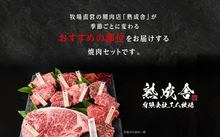 \年内発送可能!/黒毛和牛 焼肉セット 極 (きわみ) 熟成和牛 |牛肉 小分け【有限会社エム牧場】