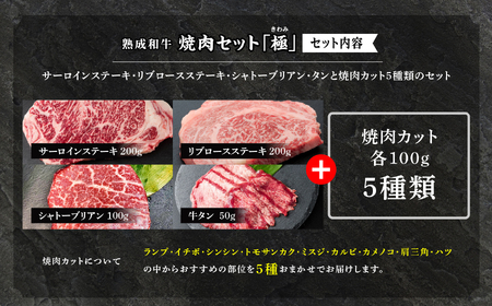 \年内発送可能!/黒毛和牛 焼肉セット 極 (きわみ) 熟成和牛 |牛肉 小分け【有限会社エム牧場】
