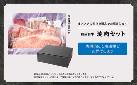 \年内発送可能!/黒毛和牛 焼肉セット 極 (きわみ) 熟成和牛 |牛肉 小分け【有限会社エム牧場】