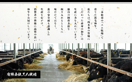 ＜先行予約 2024年6月以降お届け＞福島県二本松市産 黒毛和牛うすぎり しゃぶしゃぶ用 1kg(500g×2パック)【コーシン】
