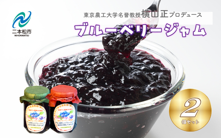 ブルーベリージャム 2個セット ジャム ブルーベリー 朝食 パン セット ギフト 【東和ブルーベリー研究農園】